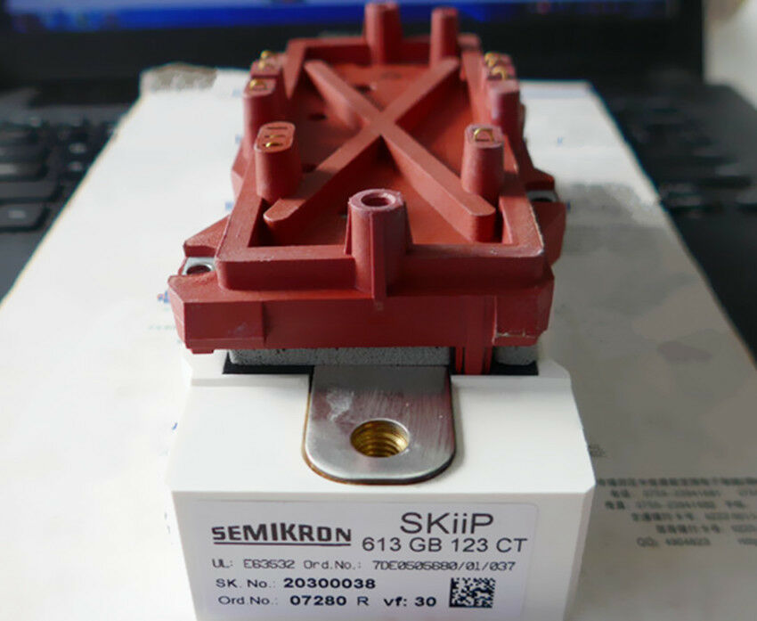 Viking SKIIP613GB123CT