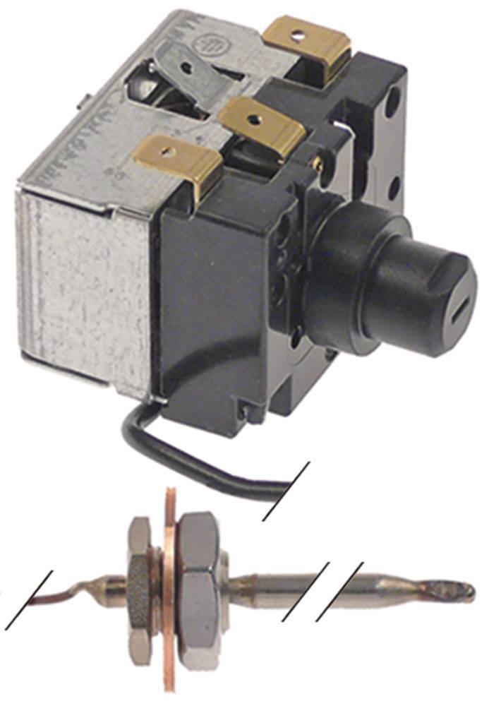 Jumo 602031/80